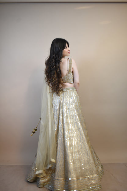 Faux Mirror styled lehenga with Thread Embraided