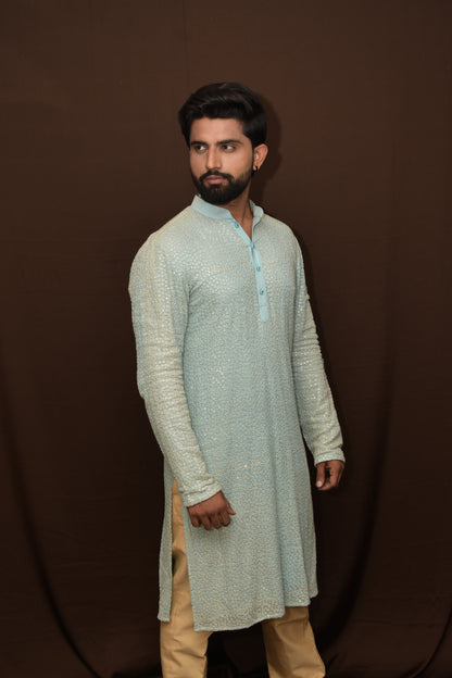 Sequins Thread Embroided Kurta