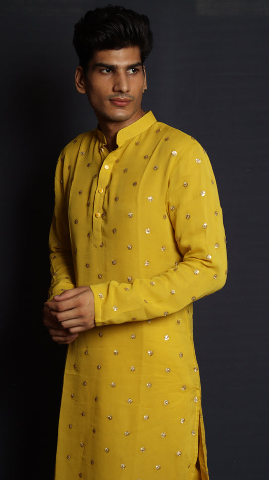 Minimal Sequins Embroided Kurta