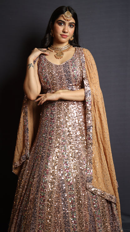 Sequins design Lehenga