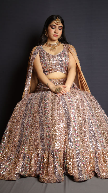 Sequins design Lehenga